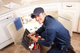 Best Garbage Disposal Repair and Installation  in Sumner, WA